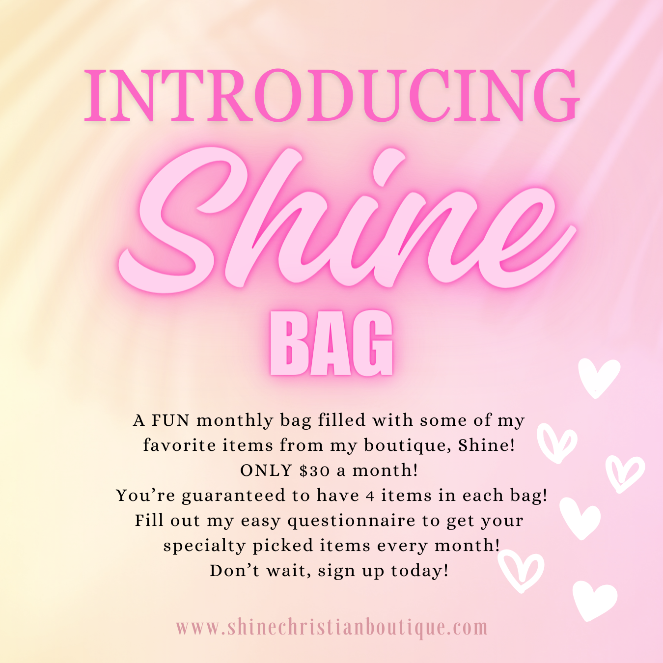 SHINE BAG!